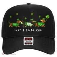 Cute St Patrick's Day Just A Lucky Dog Dachshunds Hat thumb 0