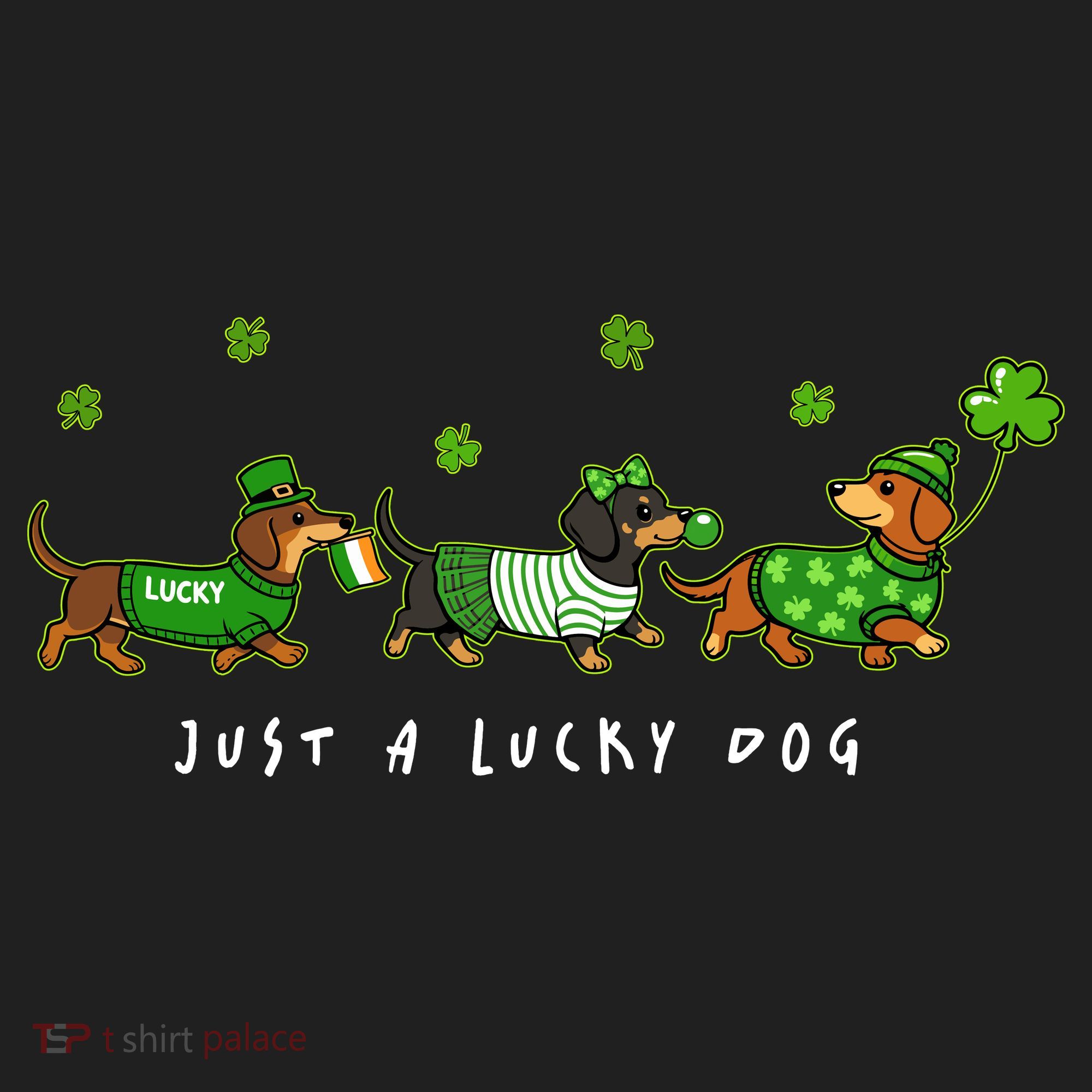 Cute St Patrick's Day Just A Lucky Dog Dachshunds Hat