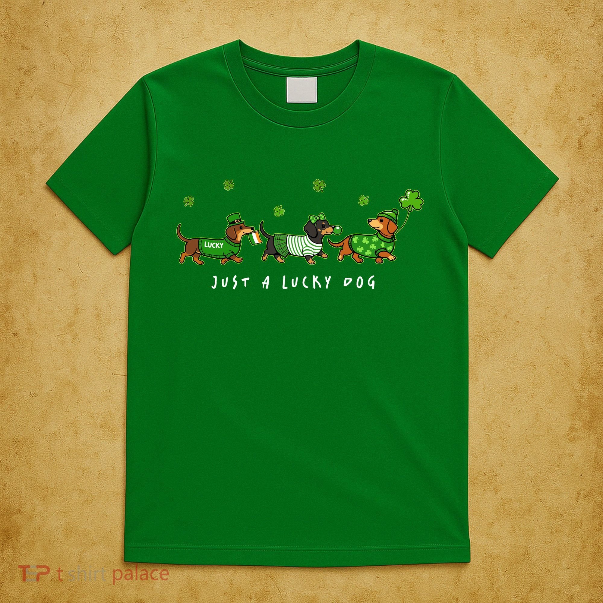 Cute St Patrick's Day Just A Lucky Dog Dachshunds T-Shirt