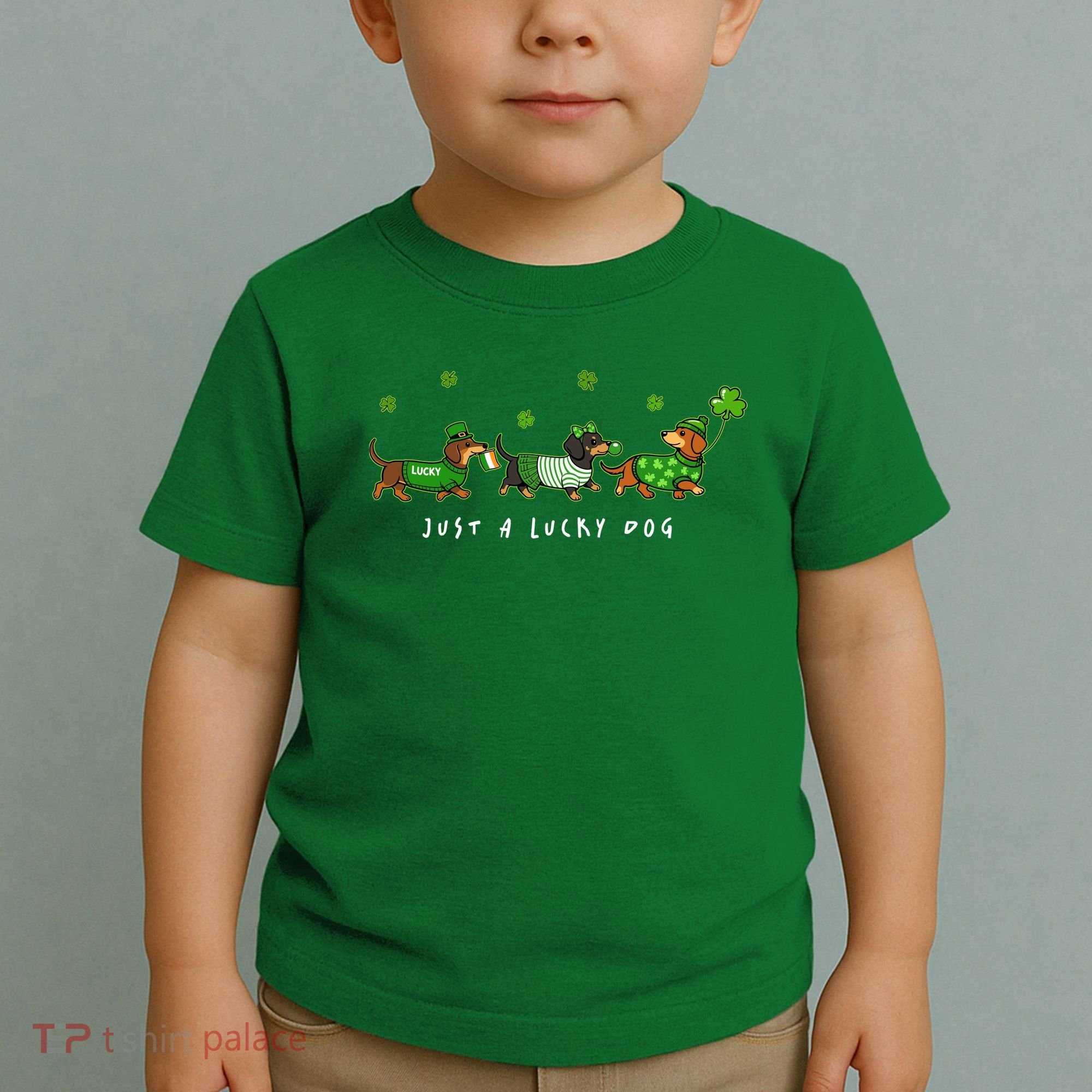 Cute St Patrick's Day Just A Lucky Dog Dachshunds Toddler T-Shirt