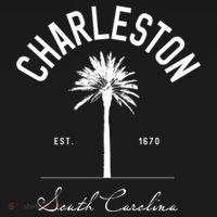 Charleston Sc Park Palm Tree Fort Sumter Gift South Carolina Funny Gift Women's Hoodie thumb 2