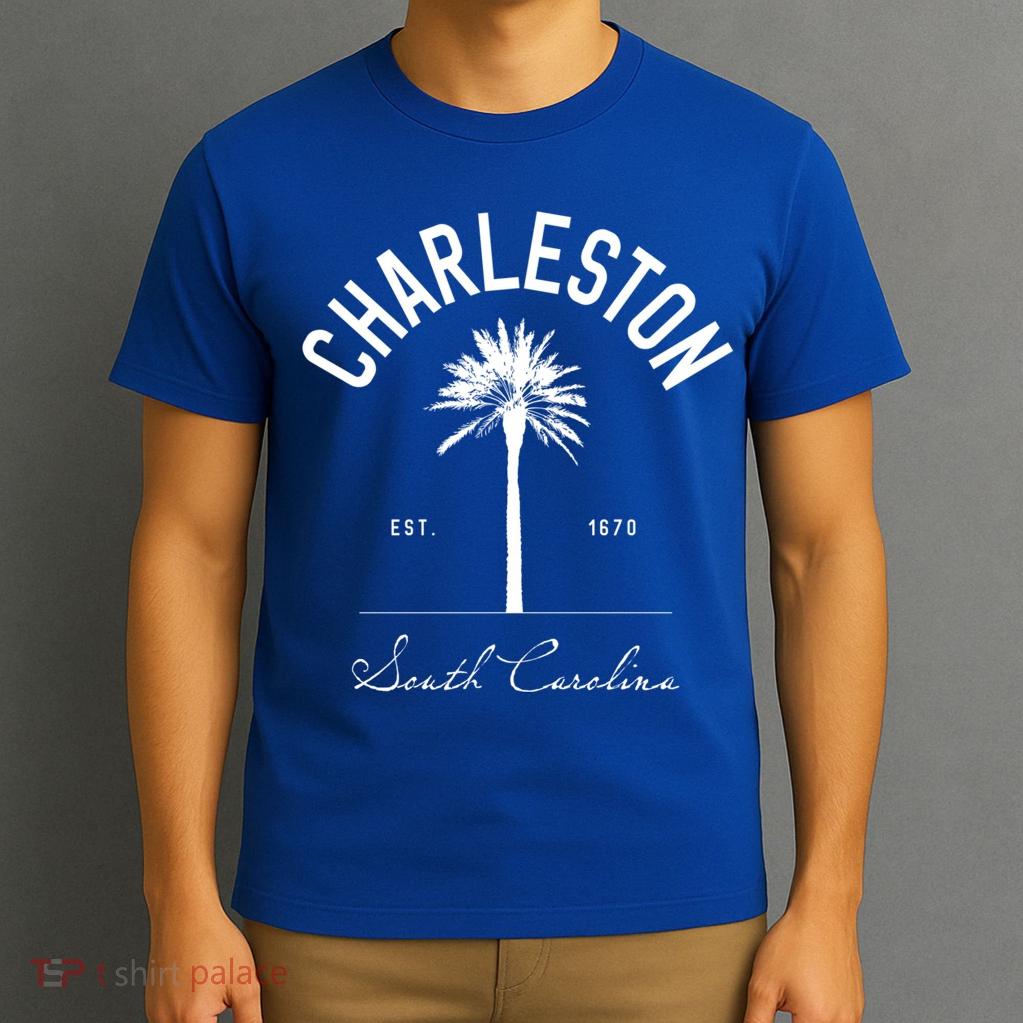 Charleston Sc Park Palm Tree Fort Sumter Gift South Carolina Funny Gift T-Shirt