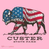 Custer State Park South Dakota Buffalo Roundup Patriotic Coaster thumb 2