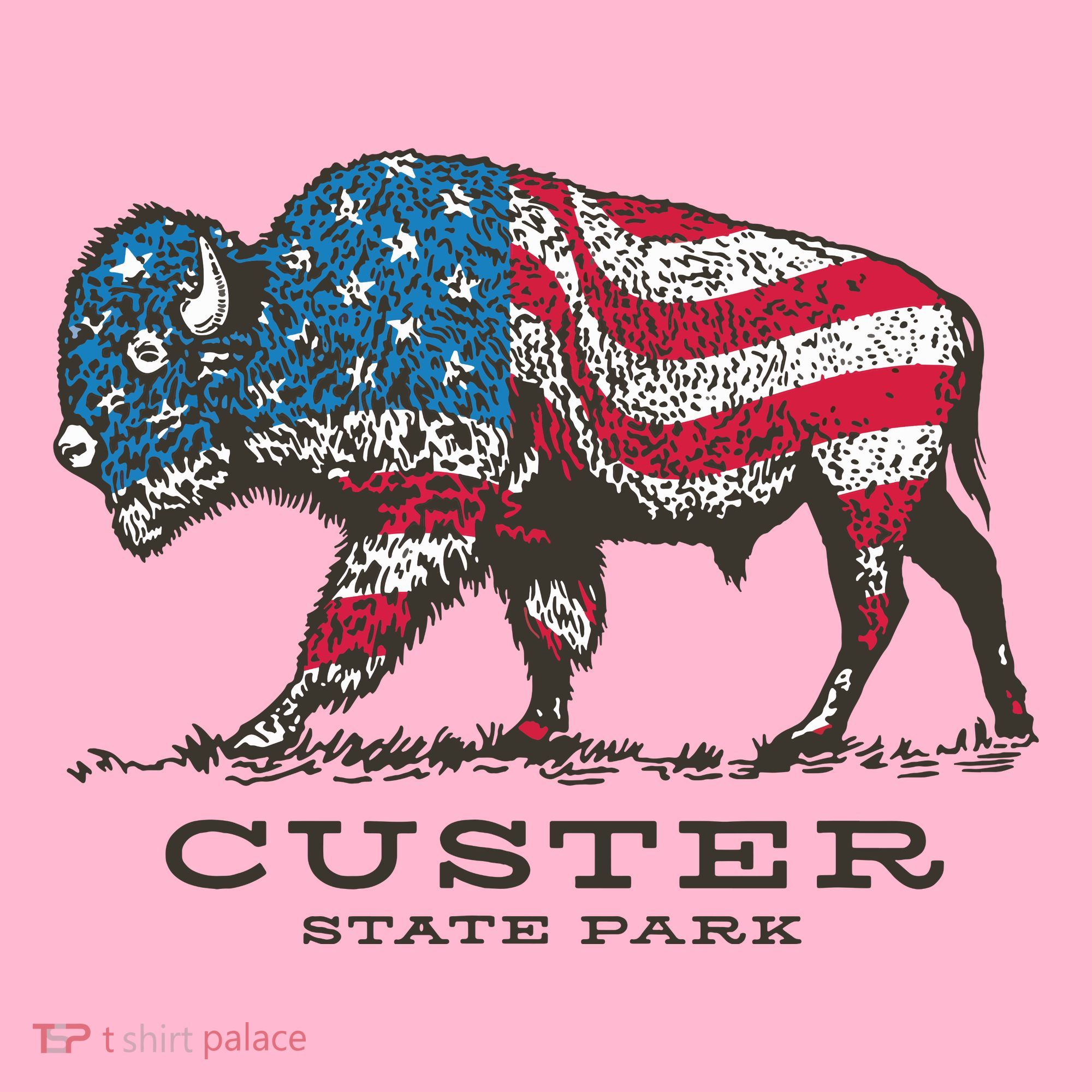 Custer State Park South Dakota Buffalo Roundup Patriotic Coaster