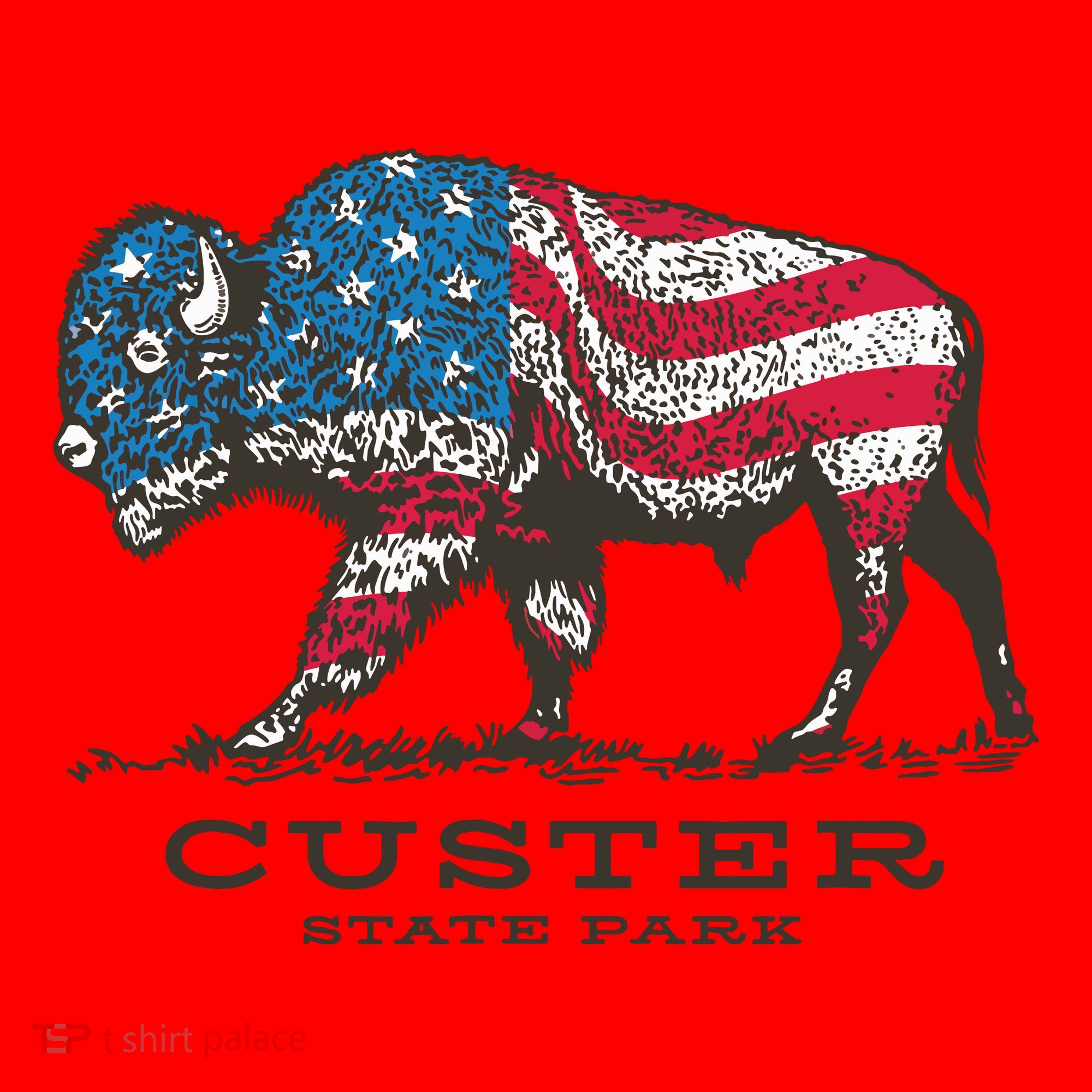 Custer State Park South Dakota Buffalo Roundup Patriotic Santa Hat