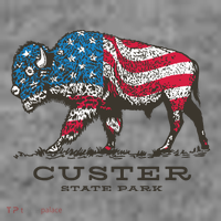 Custer State Park South Dakota Buffalo Roundup Patriotic Toddler Hoodie thumb 2