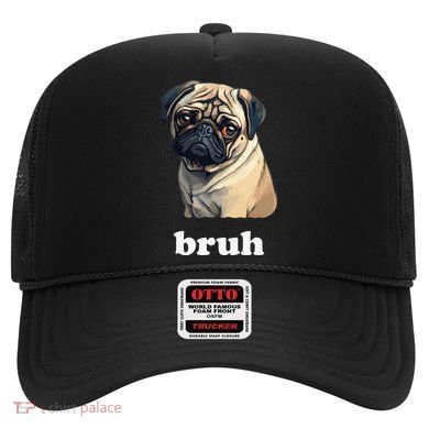Cute Suspicious Pug says Bruh Funny Dog Hat