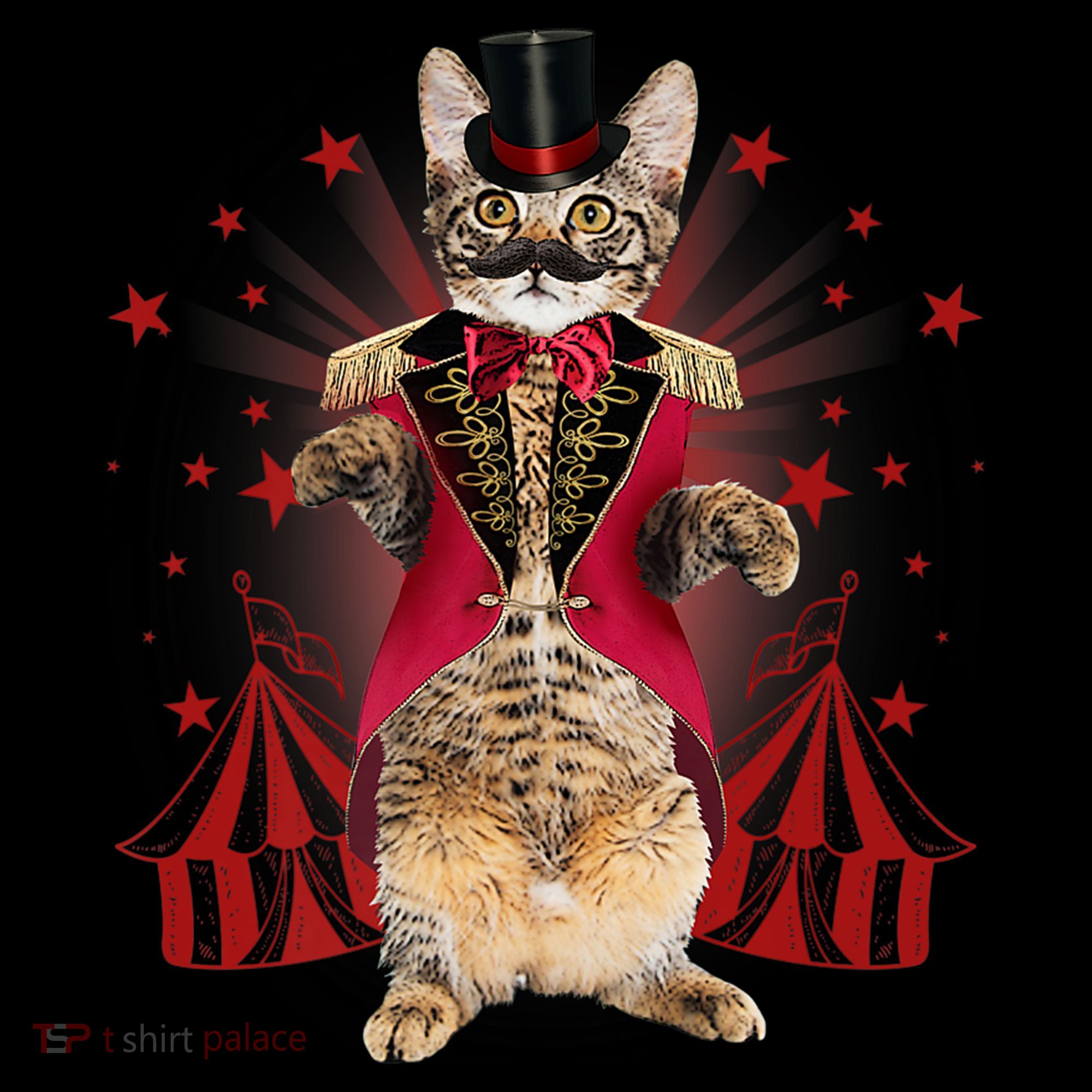 Circus S Ringmaster Cat Ringmaster Costume Apron