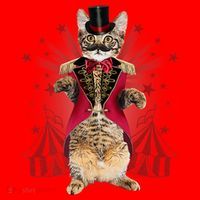 Circus S Ringmaster Cat Ringmaster Costume Santa Hat thumb 1