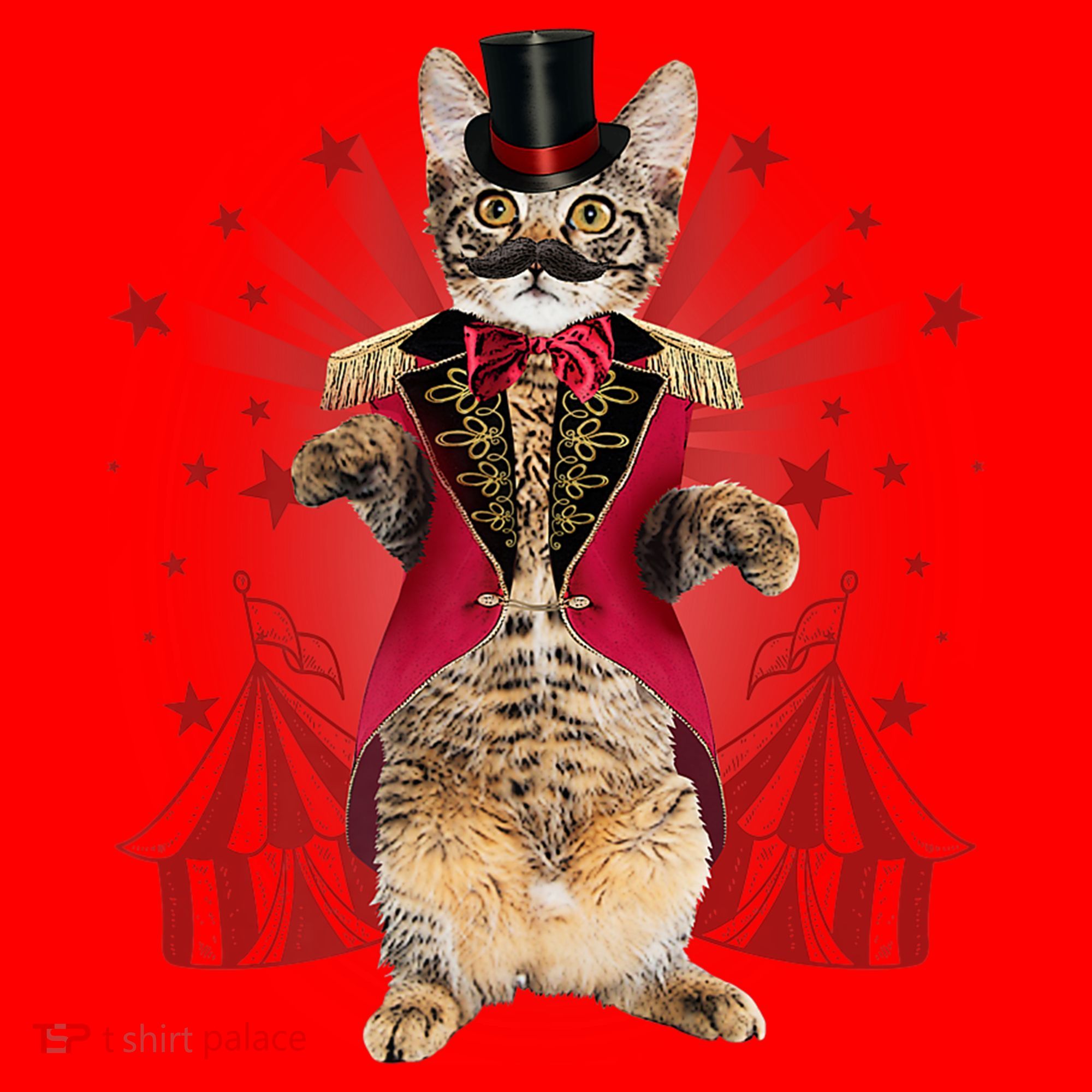 Circus S Ringmaster Cat Ringmaster Costume Santa Hat