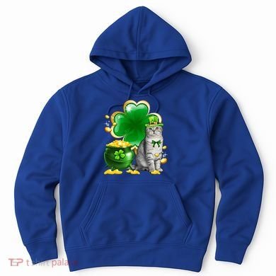 Cat Shamrock St Patricks Day Cat Irish Gift Cute Gift Hoodie