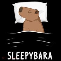 Capybara Sleepybara Sleep Capybara Sweatshirt thumb 3