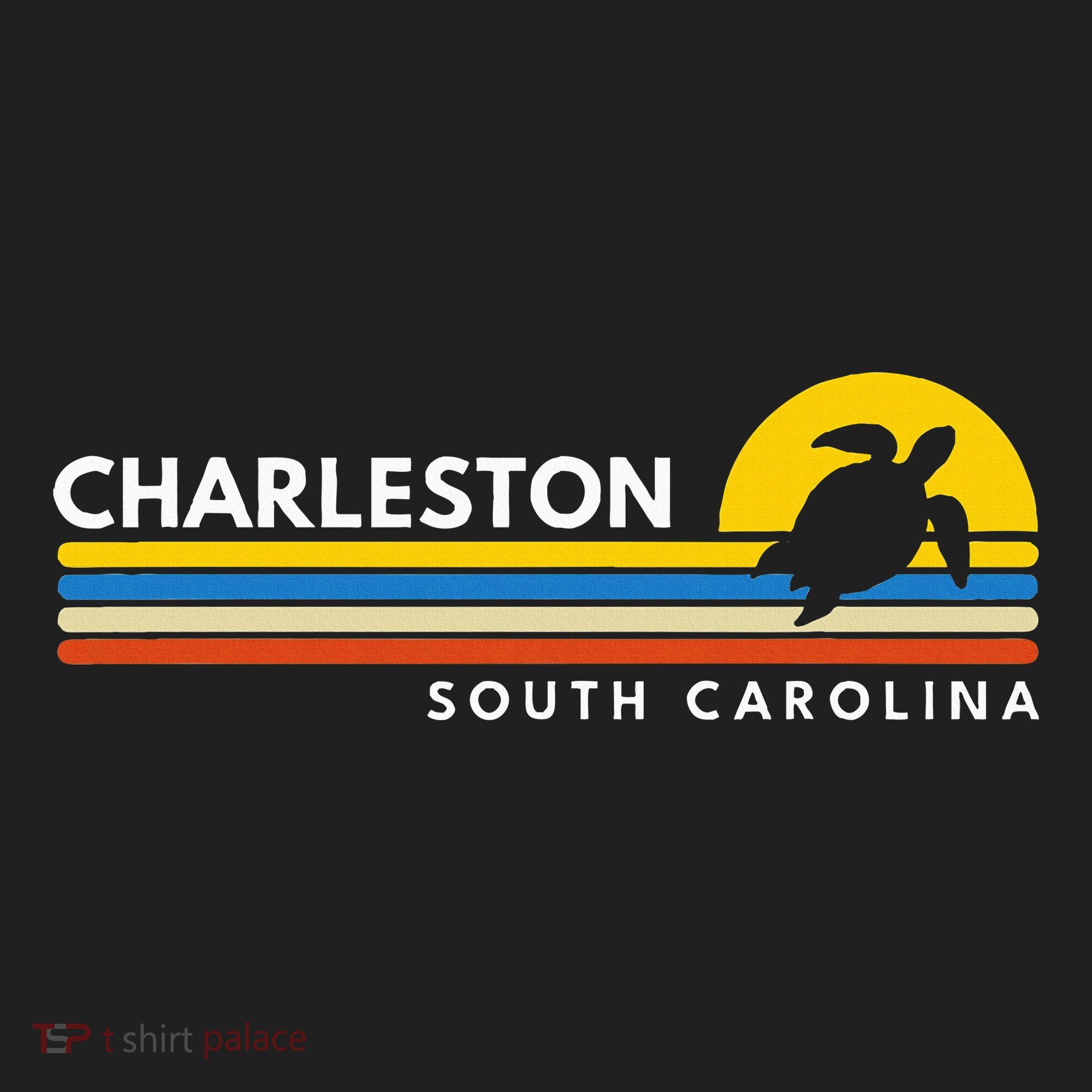 Charleston Sc South Carolina Women's Sweatshirt