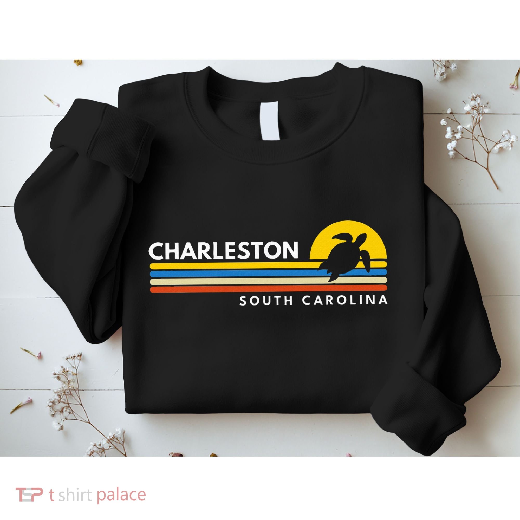 Charleston Sc South Carolina Sweatshirt