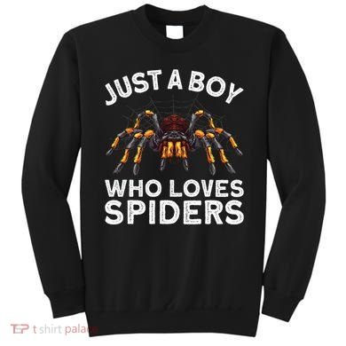 Cute Spider Spider Web Tarantula Arachnid Sweatshirt
