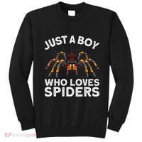 Cute Spider Spider Web Tarantula Arachnid Sweatshirt thumb 0