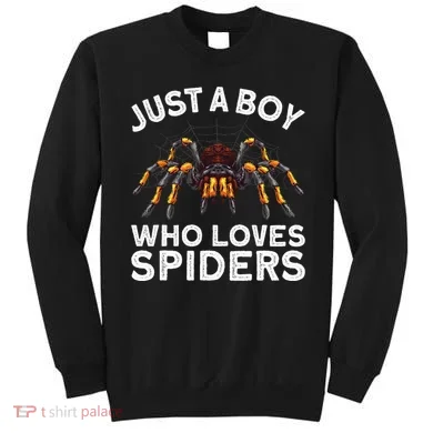 Cute Spider Spider Web Tarantula Arachnid Sweatshirt