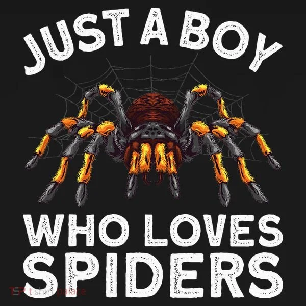 Cute Spider Spider Web Tarantula Arachnid T-Shirt