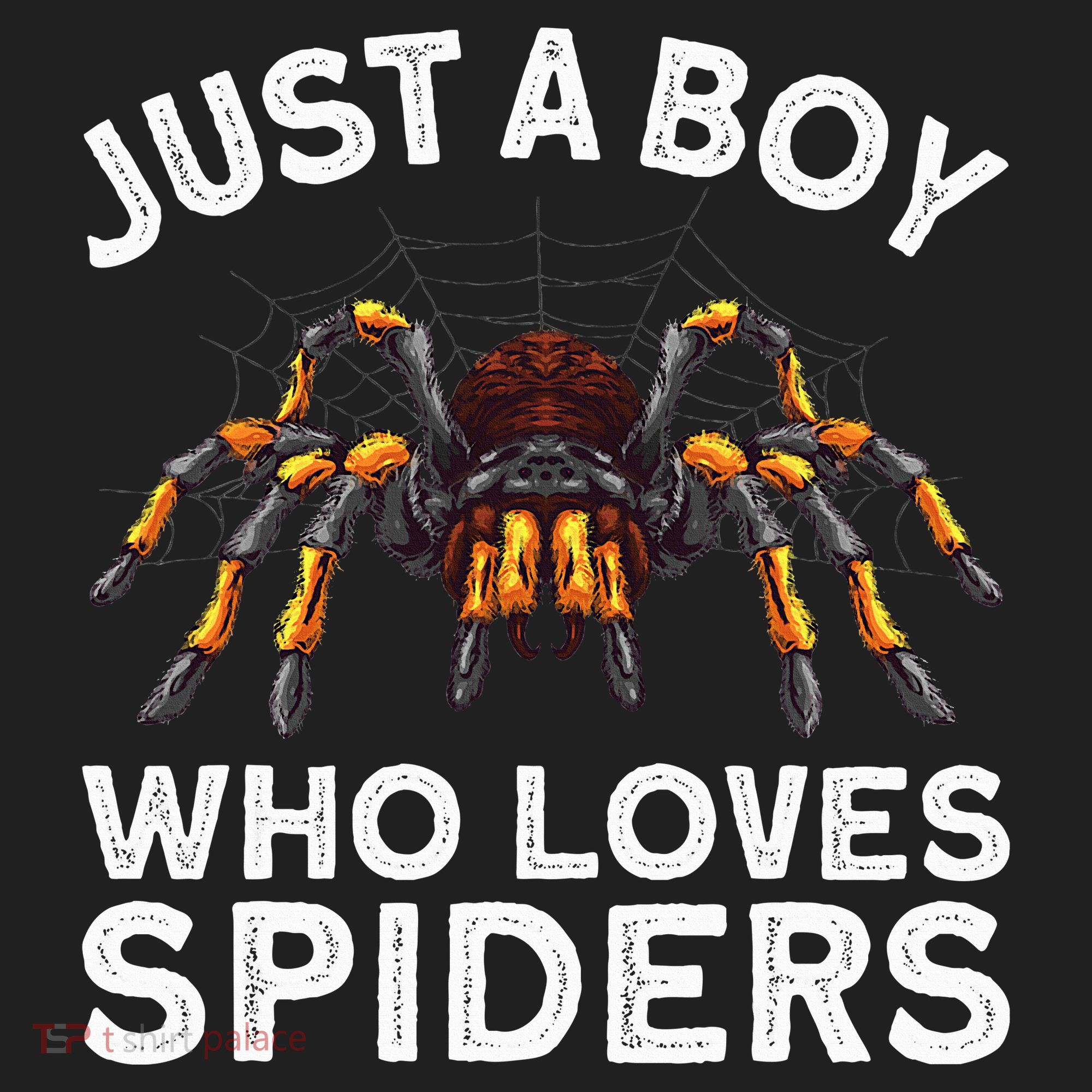 Cute Spider Spider Web Tarantula Arachnid Beanie