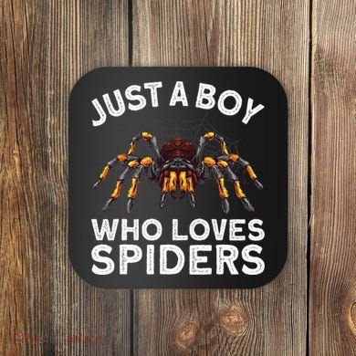 Cute Spider Spider Web Tarantula Arachnid Coaster