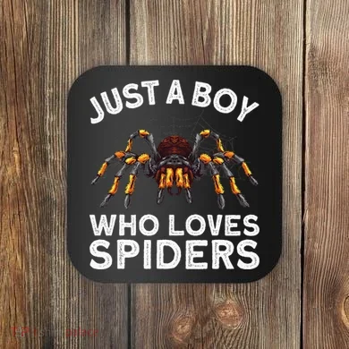 Cute Spider Spider Web Tarantula Arachnid Coaster