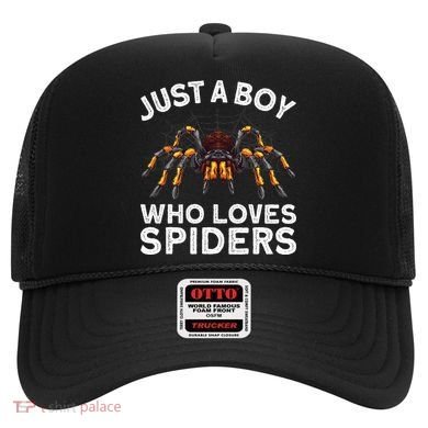Cute Spider Spider Web Tarantula Arachnid Hat