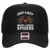 Cute Spider Spider Web Tarantula Arachnid Hat thumb 0