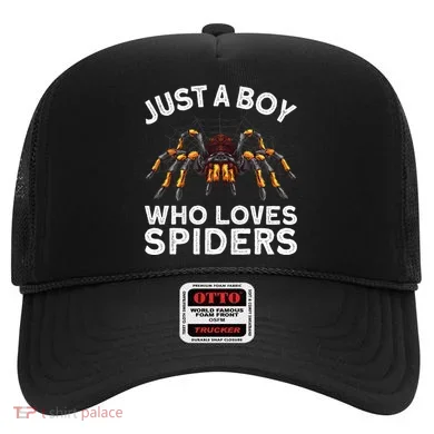 Cute Spider Spider Web Tarantula Arachnid Hat