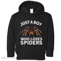 Cute Spider Spider Web Tarantula Arachnid Toddler Hoodie thumb 0