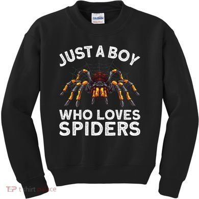 Cute Spider Spider Web Tarantula Arachnid Kids Sweatshirt