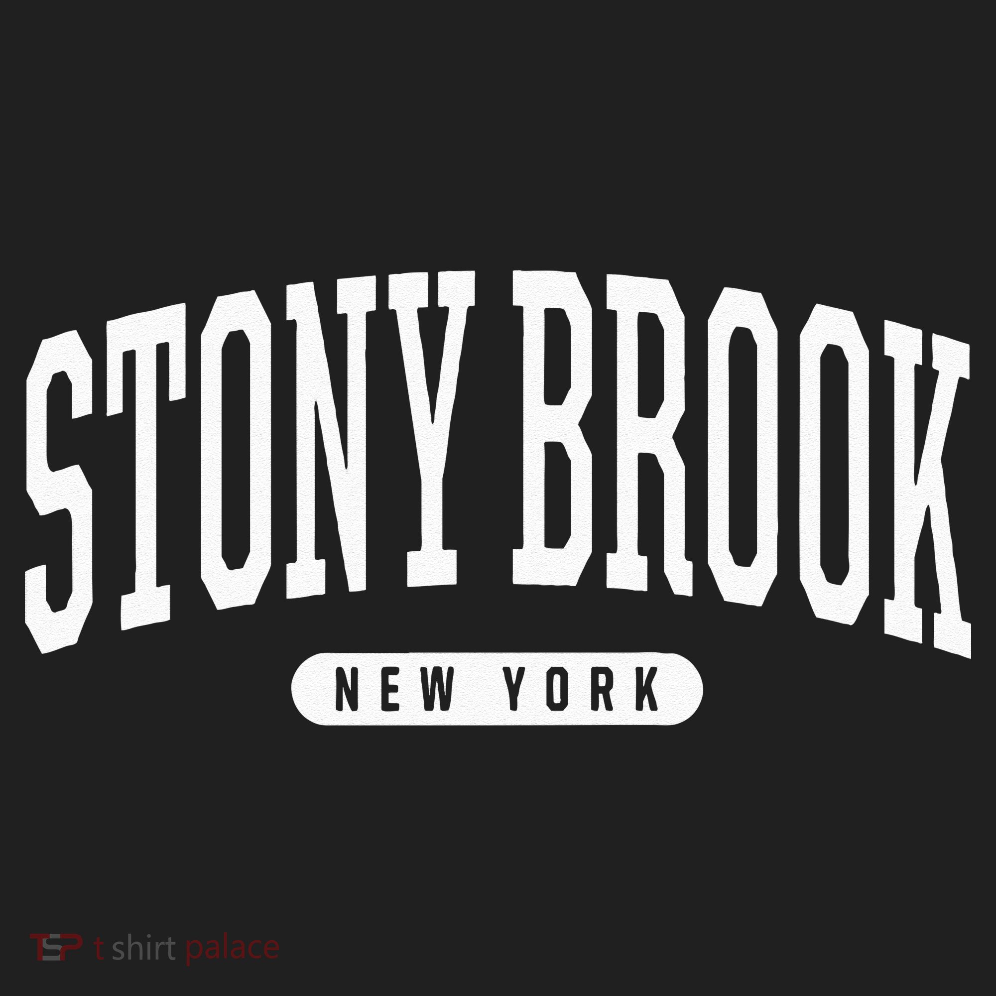 College Style Stony Brook New York Souvenir Gift  Beanie