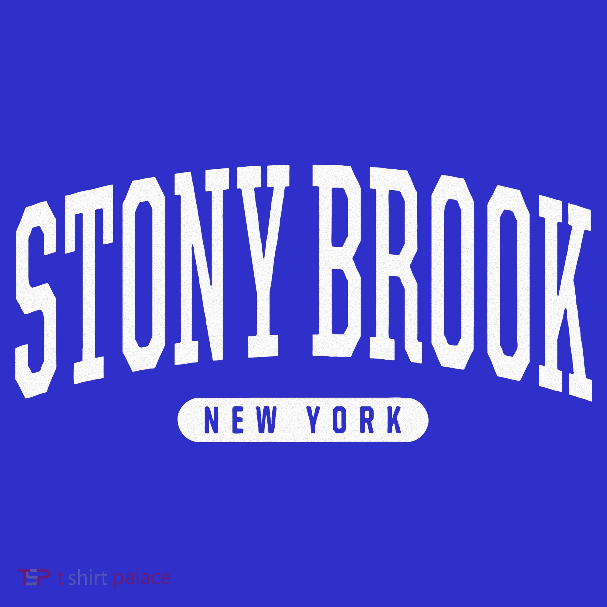 College Style Stony Brook New York Souvenir Gift  Visor
