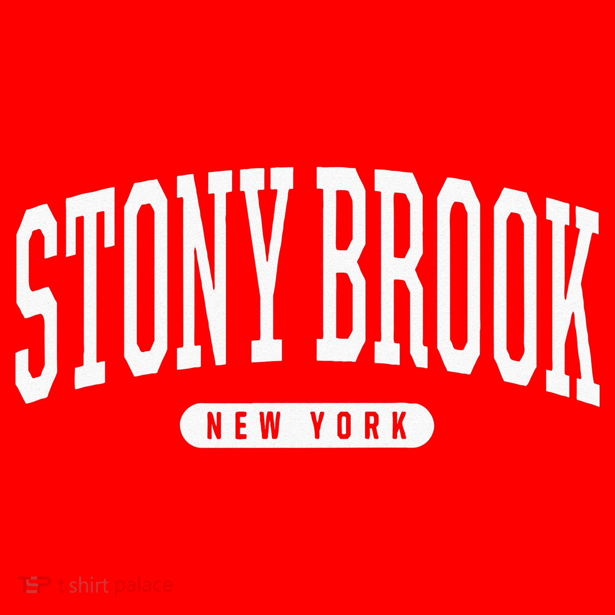 College Style Stony Brook New York Souvenir Gift  Santa Hat