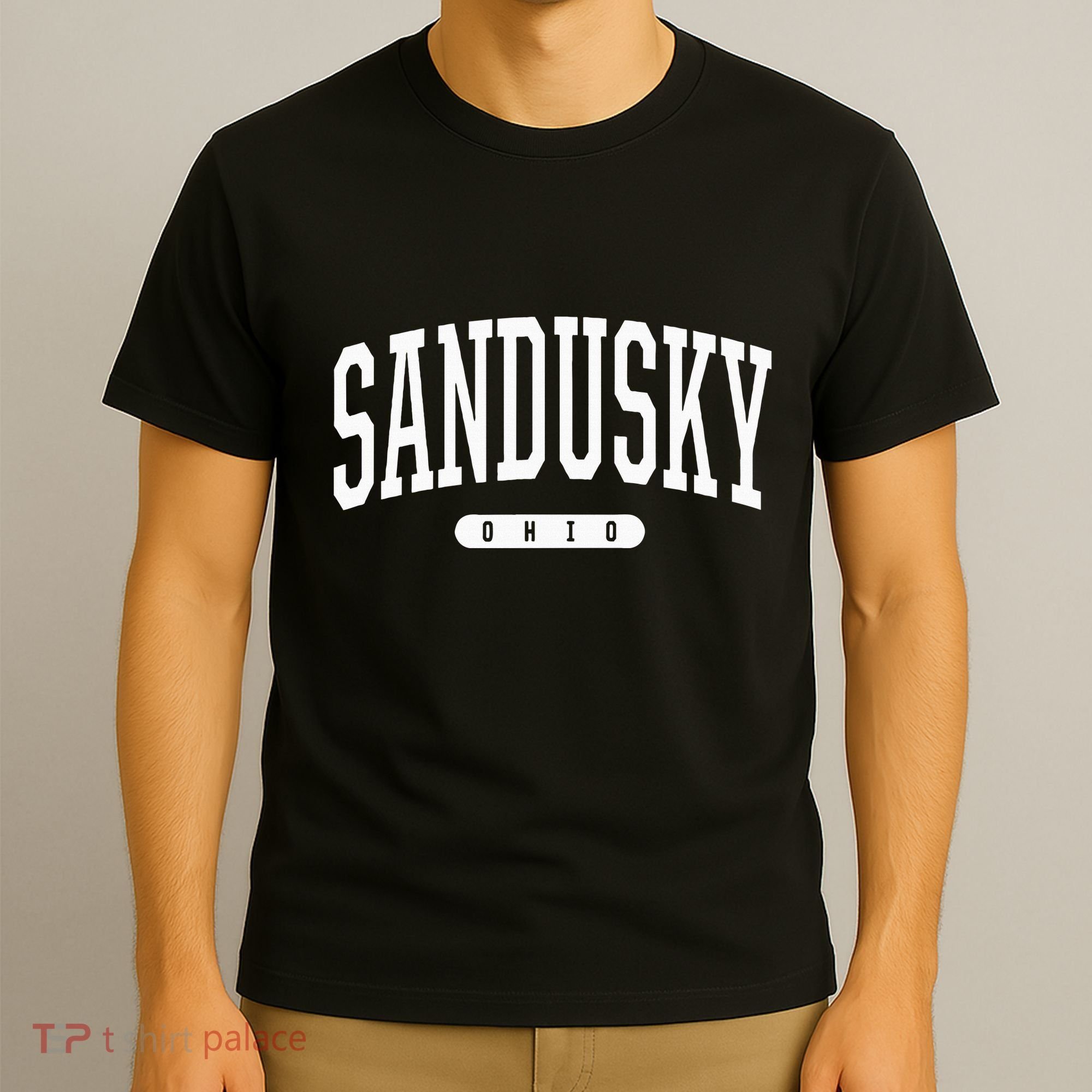 College Style Sandusky Ohio Souvenir Gift T-Shirt