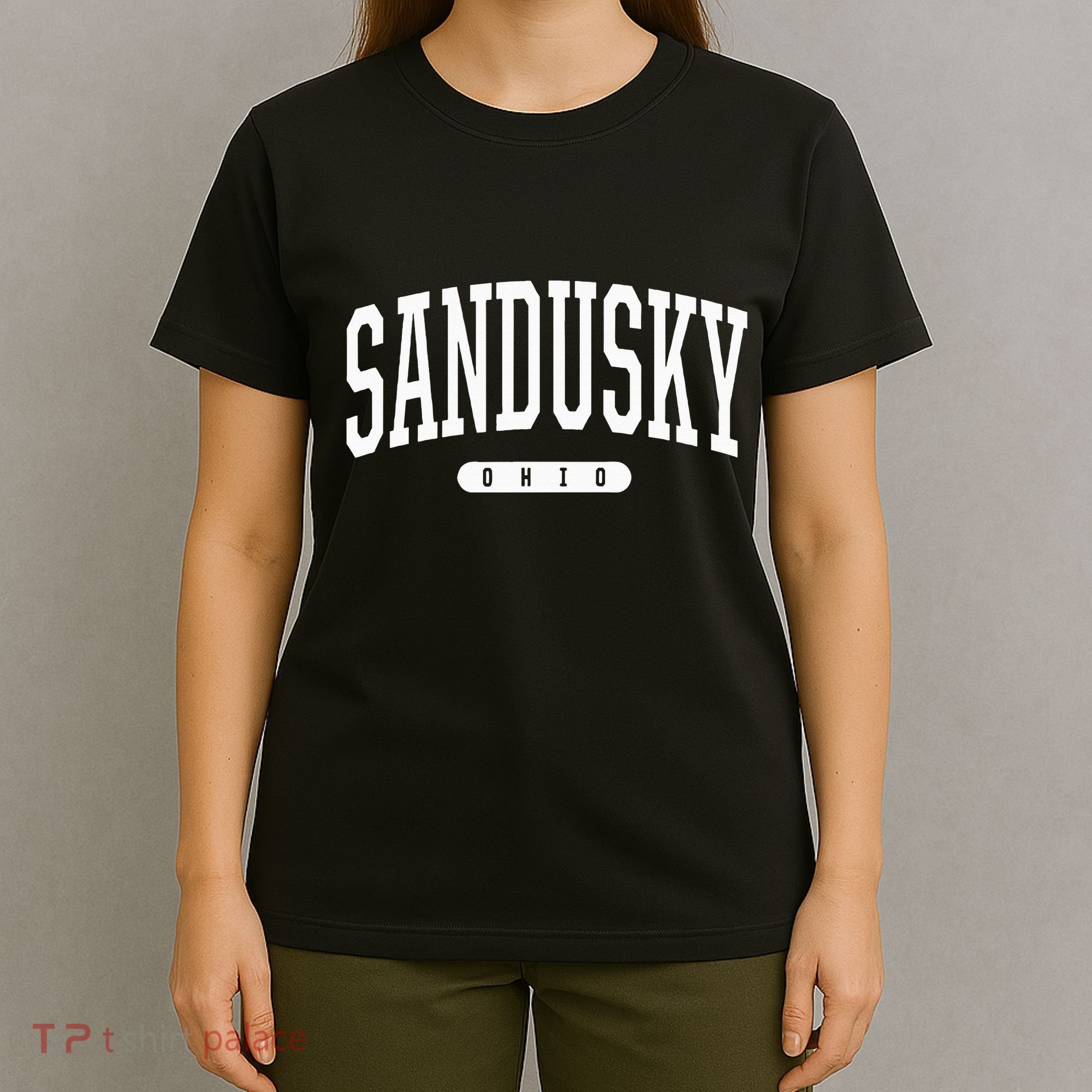 College Style Sandusky Ohio Souvenir Gift T-Shirt
