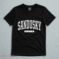 College Style Sandusky Ohio Souvenir Gift T-Shirt thumb 5