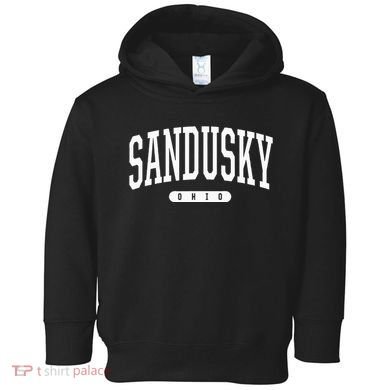 College Style Sandusky Ohio Souvenir Gift Toddler Hoodie