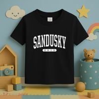 College Style Sandusky Ohio Souvenir Gift Toddler T-Shirt thumb 3