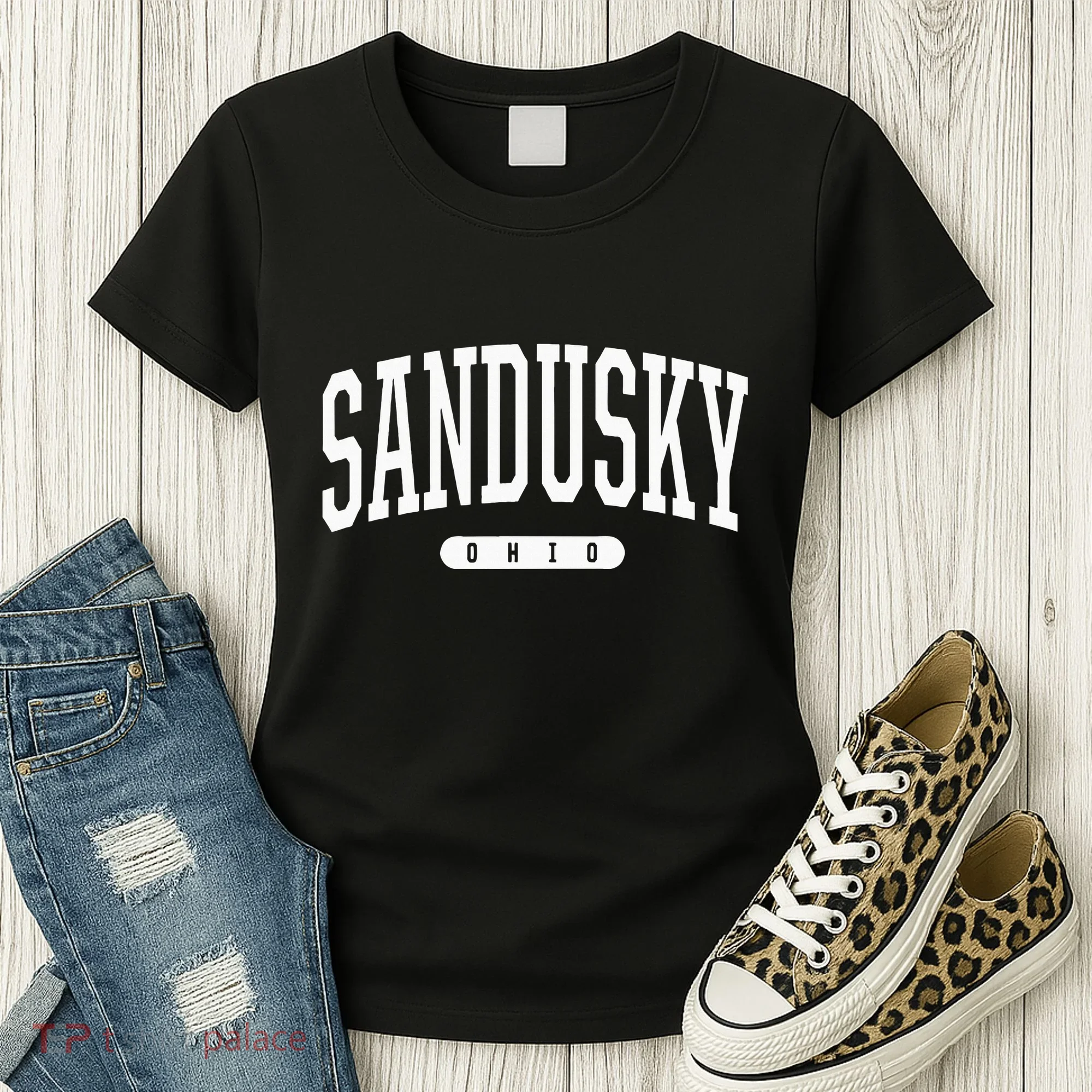 College Style Sandusky Ohio Souvenir Gift Women's T-Shirt