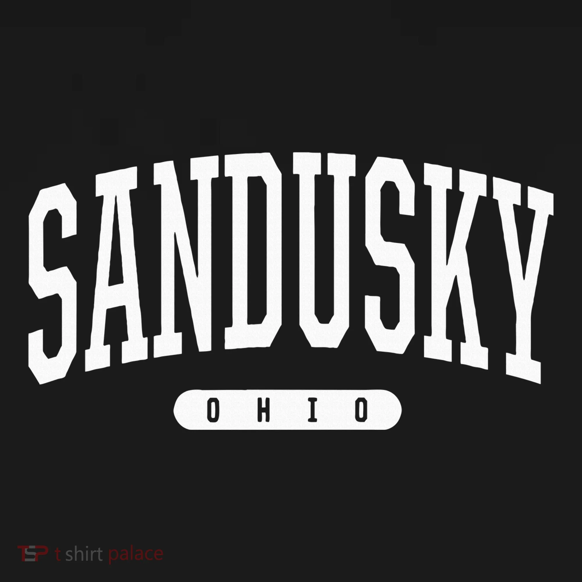 College Style Sandusky Ohio Souvenir Gift Women's T-Shirt