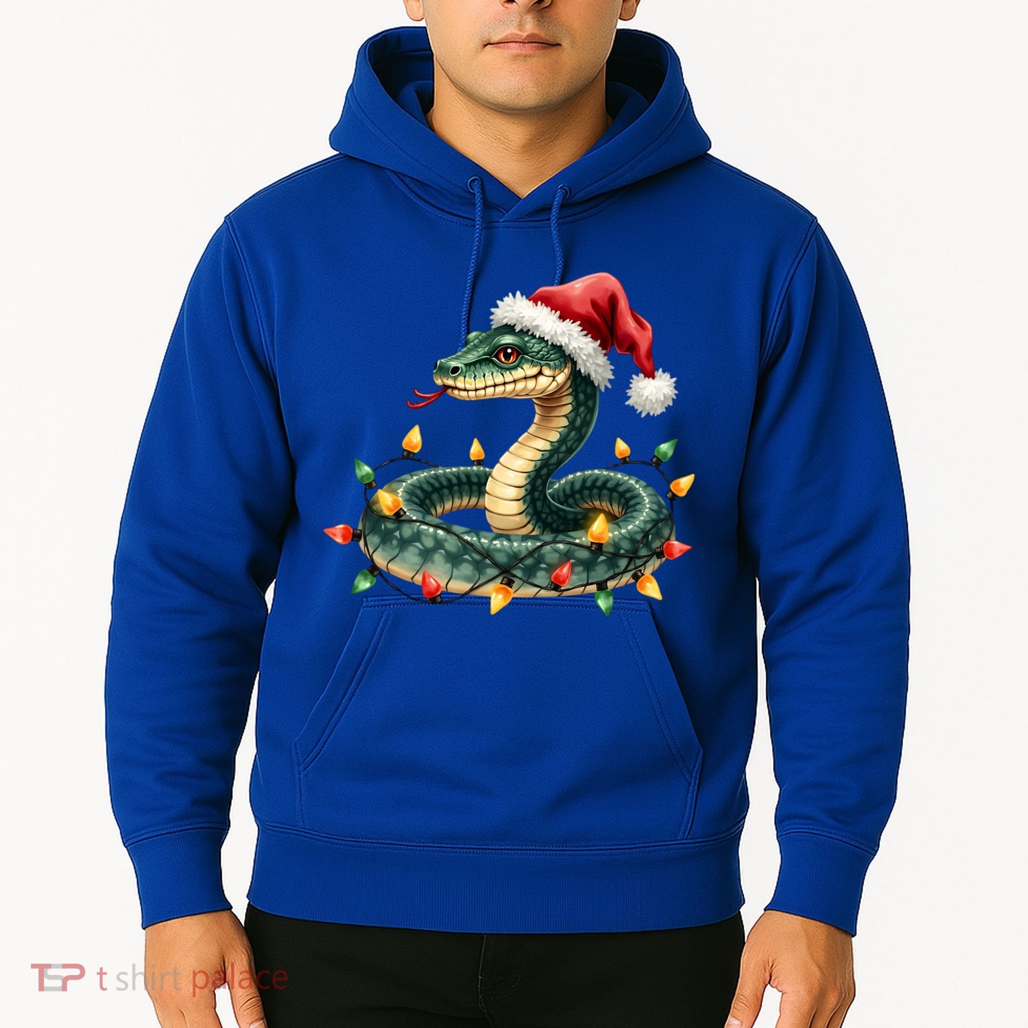 Christmas Snake Santa Hat Holiday Lights Funny Novelty Gift Hoodie