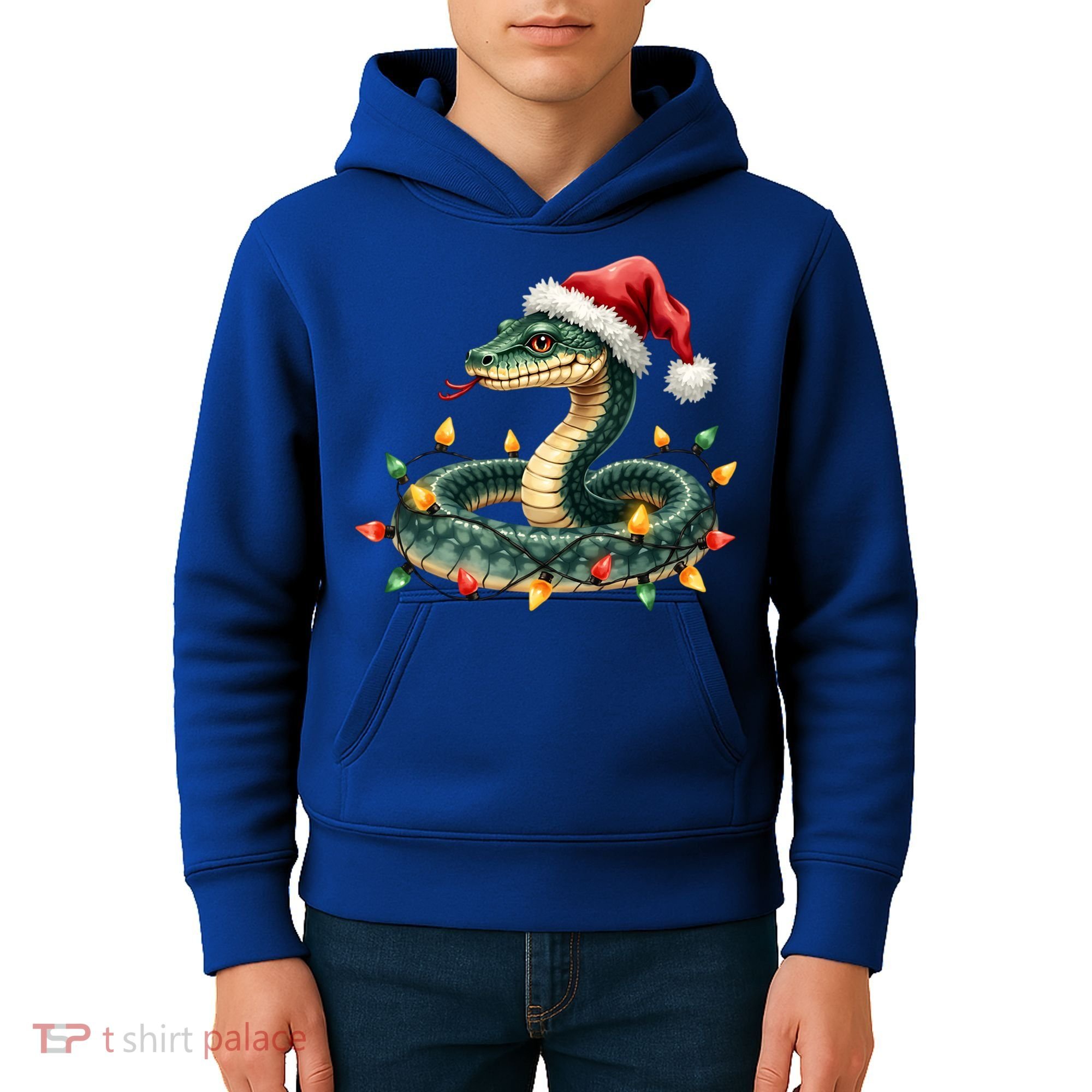 Christmas Snake Santa Hat Holiday Lights Funny Novelty Gift Kids Hoodie
