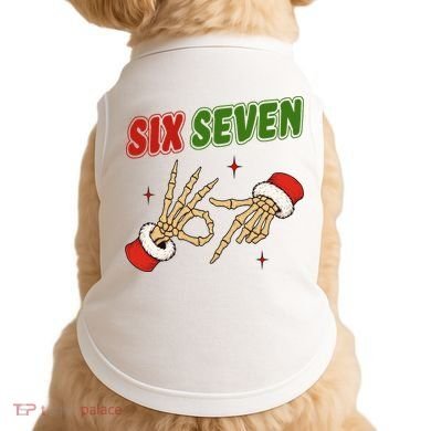 Christmas Six Seven Skeleton Santa 67 Funny X-Mas Doggie Tank