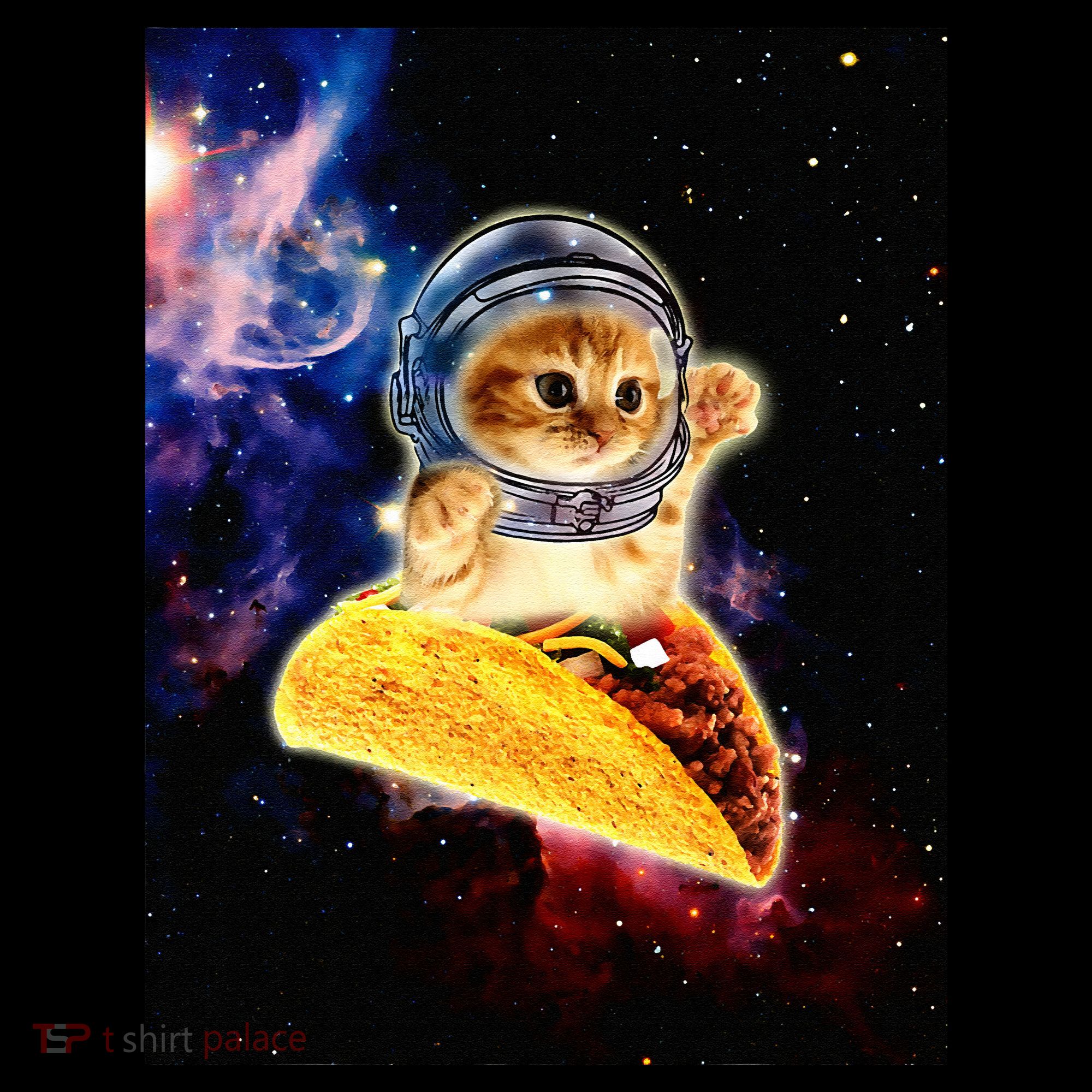 Crazy Space Taco Cat Funny V2 Kids Long Sleeve Shirt