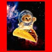 Crazy Space Taco Cat Funny V2 Santa Hat thumb 1