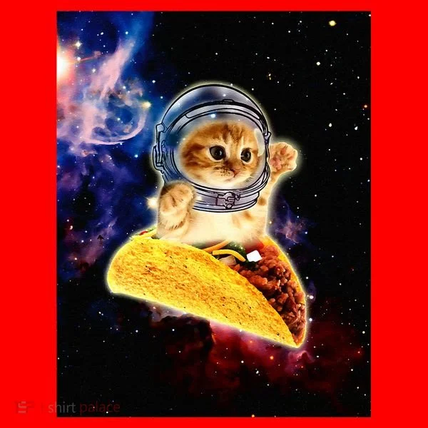 Crazy Space Taco Cat Funny V2 Santa Hat