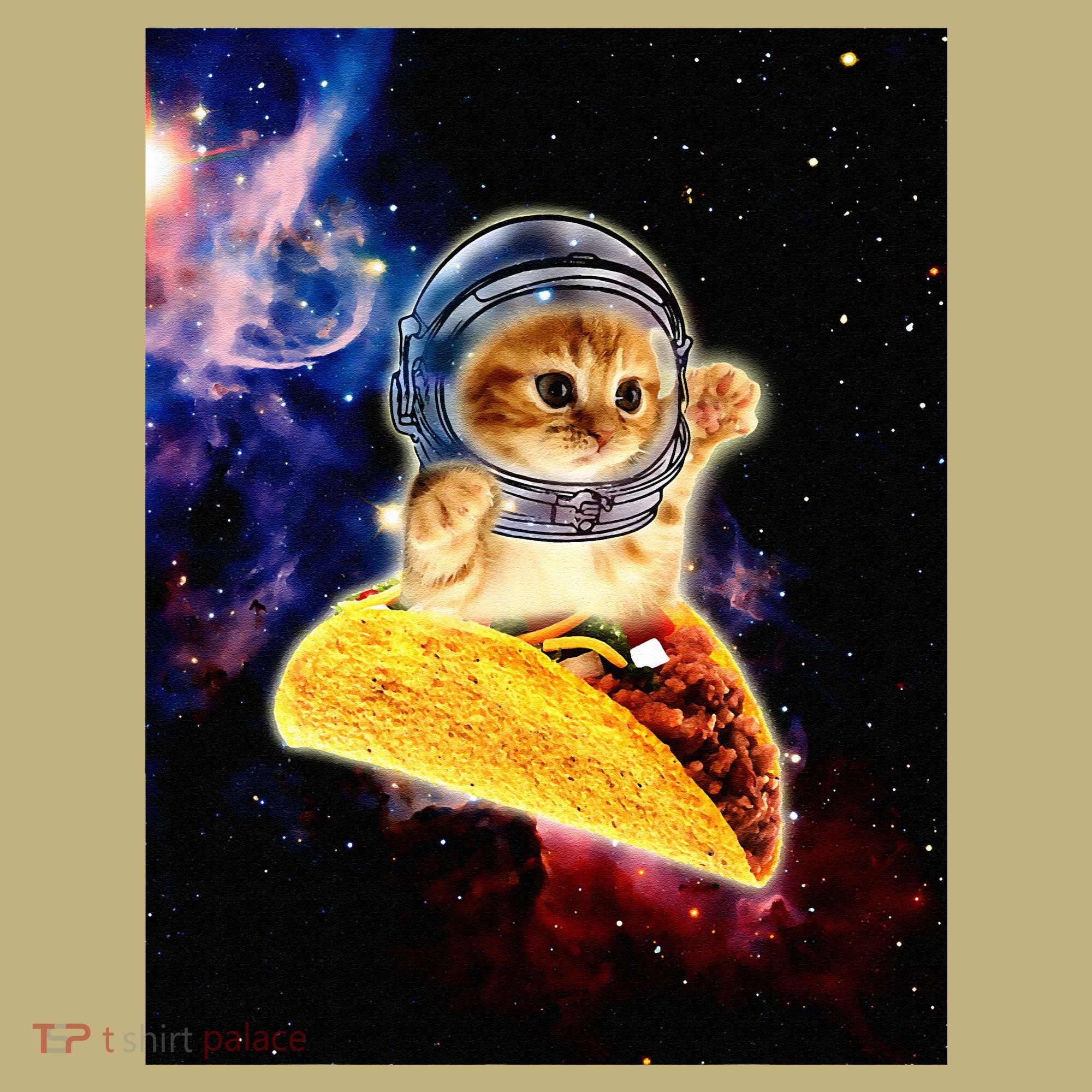Crazy Space Taco Cat Funny V2 Sweatshirt