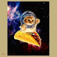 Crazy Space Taco Cat Funny V2 Button thumb 1