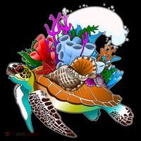 Cool Sea Turtle Ocean Life Women's T-Shirt thumb 6