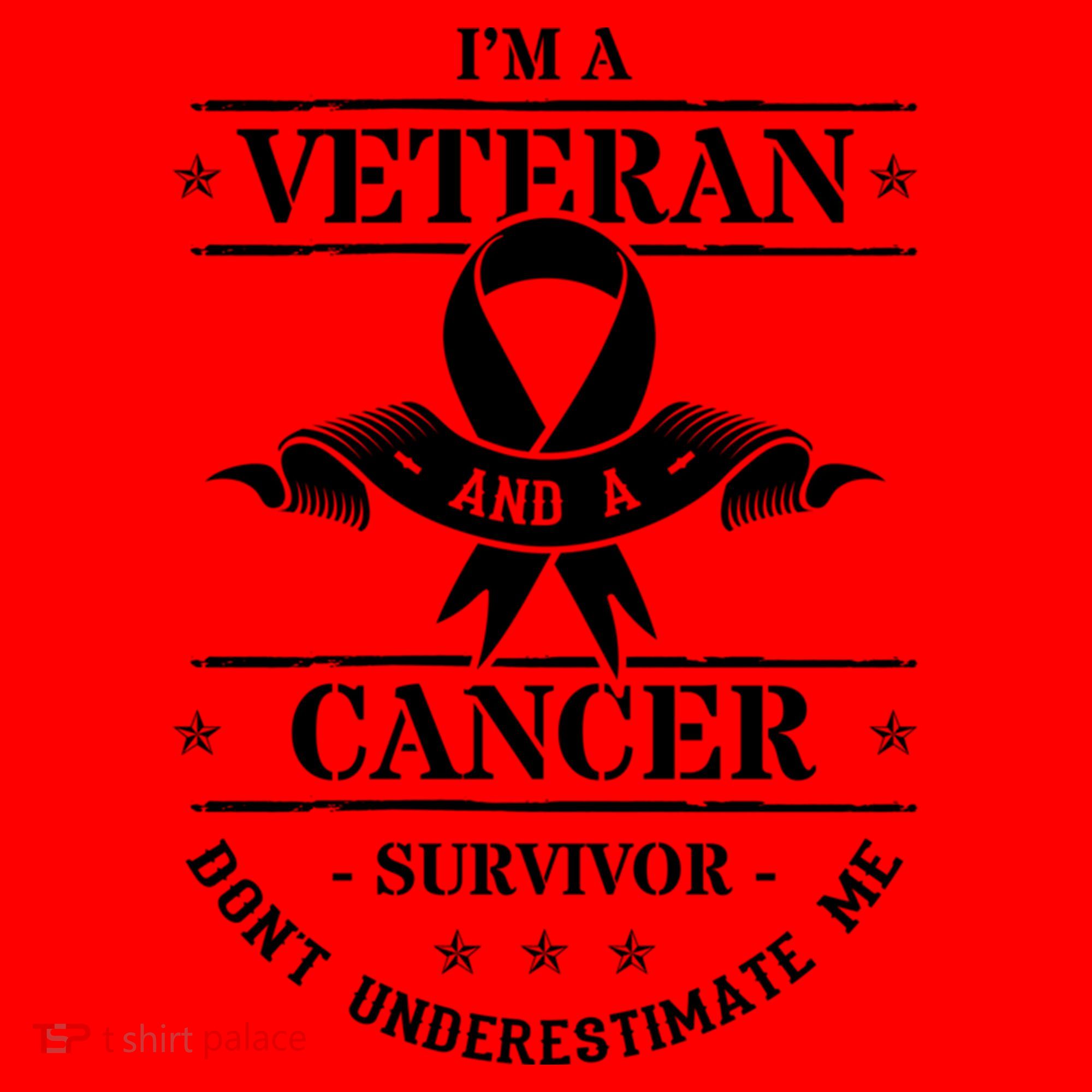 Cancer Survivor Veteran Chemotherapy Warrior Gift Santa Hat